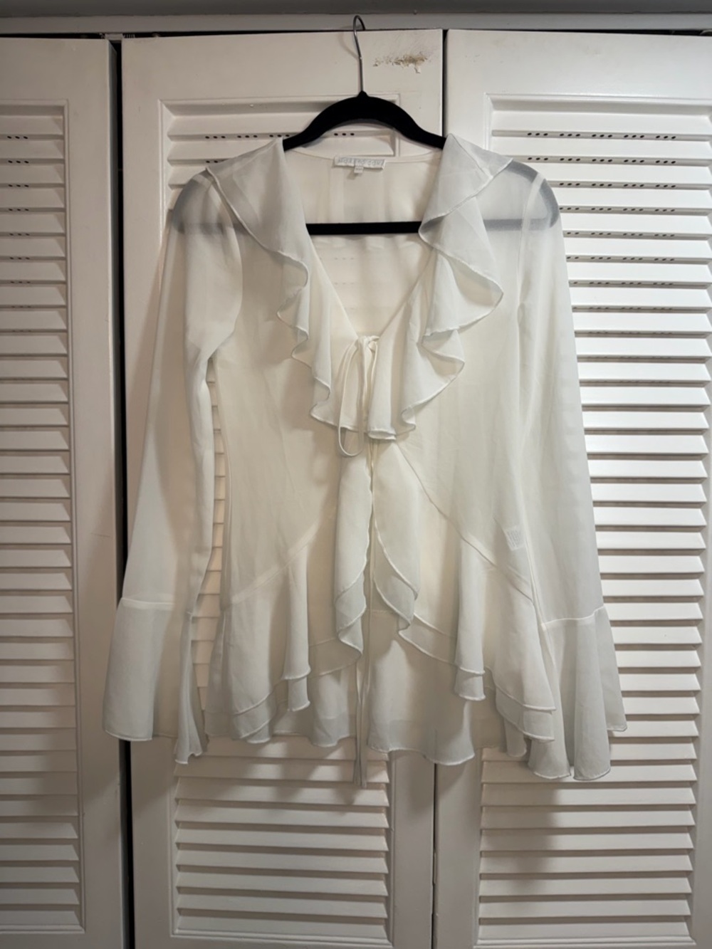 Ruffle-Front Sheer Blouse in White